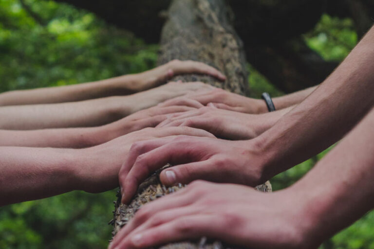 circuitcourtV2-768x512